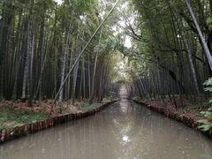 -同里国家湿地公园