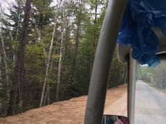 -五营红松林海景区