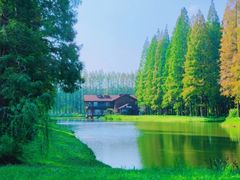 -黄海国家森林公园