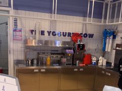 -一只酸奶牛(双流万达广场店)