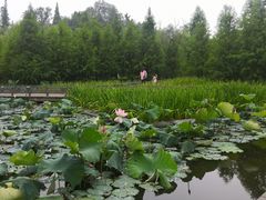 -泰州凤城河风景区-泰山公园