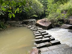 -广州白江湖森林公园