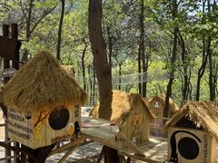 -沂蒙山旅游区云蒙景区(蒙山国家森林公园)