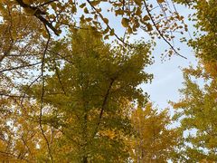 -长白岛森林公园