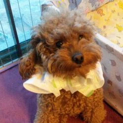 -梵梦影像馆(绿博园店)