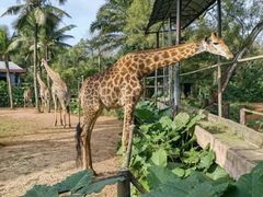 -海南热带野生动植物园