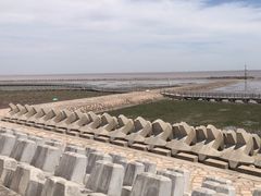 -南汇嘴观海公园