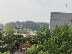 -浔庐餐厅•江西老字号•九江菜(南湖国际店)