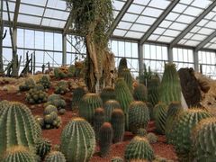 -南通洲际绿博园