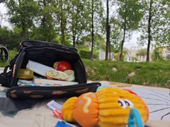 -三圣花乡旅游区