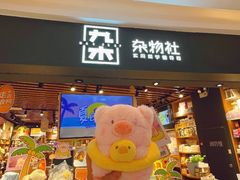-远洋未来汇
