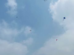 -春花秋色城市公园