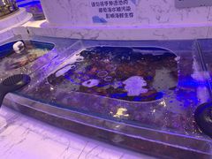 -澜悦港海鲜体验主题餐厅