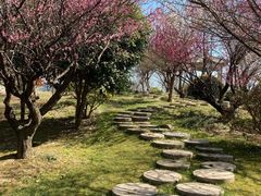 -南通洲际绿博园