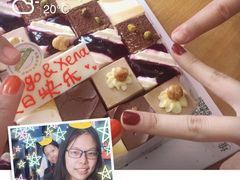 -维尔纳斯·生日蛋糕动物奶油冰淇淋蛋糕(人大店)
