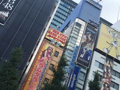 -秋叶原电器街