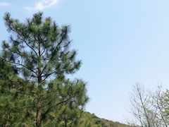 -黄公望隐居地