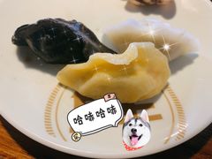 -船歌鱼水饺(淄博万象汇店)