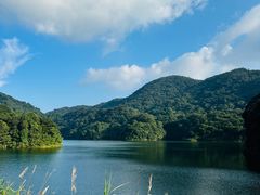 -广州市石门国家森林公园