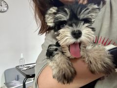 -FAELING PETS美天灵宠物(合生汇店)