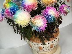 -陶然亭公园