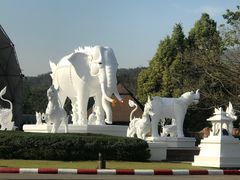 -清迈夜间动物园