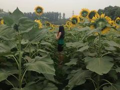 -南京信息职业技术学院