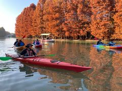 -上海海湾国家森林公园