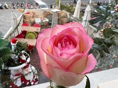 -秀儿家の小确幸花园西餐厅