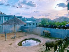 -西霞口神雕山野生动物世界