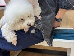 -瑞派·关忠动物医院猫科外科·异宠·24小时转诊中心(祥云店)
