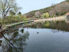 -北岭山森林公园