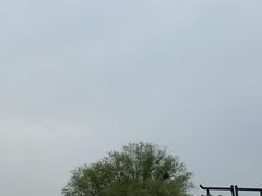 -武昌江滩