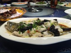 -梓程海鲜大酒家