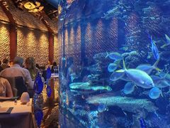 -迪拜帆船酒店海底餐厅