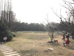 -环城公园-琥珀潭