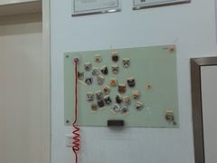 -四月宠物医院·猫专科·心脏专科·内科(转塘店)