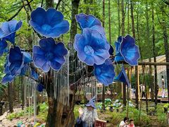 -洛阳白云山景区