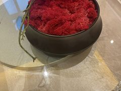 -国惠大酒楼(宝龙店)