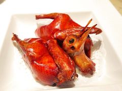 红烧乳鸽-陶陶居酒家(环市东店)