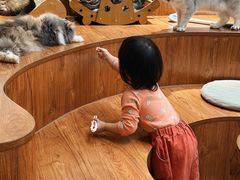 -有猫主题·治愈系猫咖(曾厝垵店)