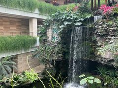 -白天鹅宾馆-宏图府餐厅