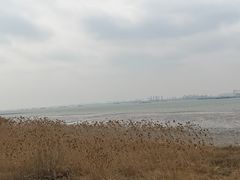 -双山岛