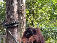 -石家庄市动物园