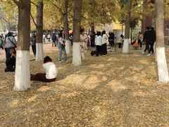 -辽宁大学(崇山校区)