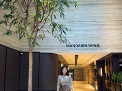 -新加坡乌节希尔顿酒店 (SG Clean)