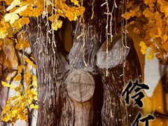 -怦然秘事游戏体验馆(银座和谐广场店)