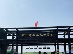-杭州湾海上花田景区
