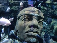 -成都浩海立方海洋公园