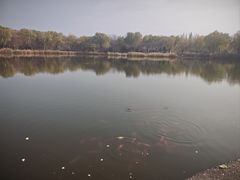 -燕郊植物园